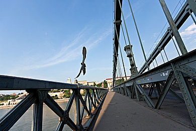 蓬莱仙岛山之花样年华｜古典新韵，科技领航：跨界豪车引领个性出行潮流-1