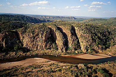 夜晚十大黄|夜晚炫彩来袭:揭秘十大“黄精灵”汽车,夜幕下的个性焦点-1