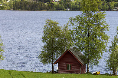 m重度的奴化训练方法｜M度极致驾驭，创新驱动未来，绿色领跑新境界-3