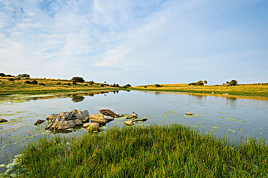 少妇精油按摩高潮|科技护航,舒适启程——创新汽车按摩系统引领新潮流-1