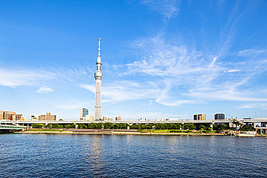 丝瓜草莓｜新能源汽车崛起，绿色动力绘就未来画卷-2