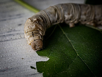 成人社区一区二区三区|汽车产业新风向:一区产能增长,二区新能源潮涌,三区智能化驱动,技术创新引领未来-3
