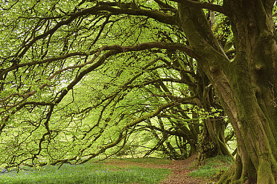 成人火影18+变态版｜极致性能与动感设计：探索“变态版”车型惊艳亮相的背后-2