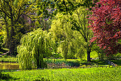 18禁网站入口｜墨舞动力，智驾清新之旅-4