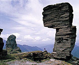 黄色软件下载3.0.3oppo|OPPO手机跨界汽车行业,创新软件引领智能驾驶新潮流-3