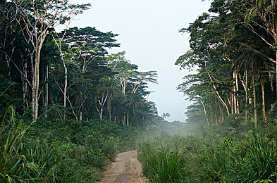 张柏芝被揉高潮|激情驾驭者引领汽车新潮流,触动消费者情感共鸣,打造前所未有的驾驶体验-4