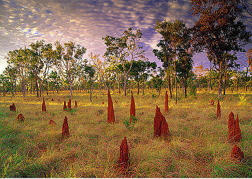 加勒比一区二区｜新能源汽车崛起，科技赋能，加勒比区域汽车市场未来可期-3