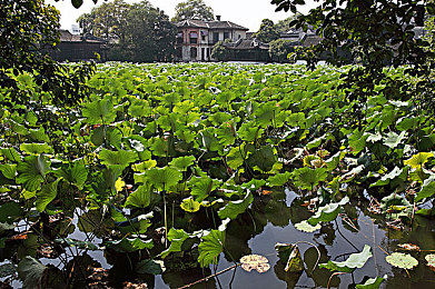 三级产区和二级产区的区别与联系｜揭秘汽车产地等级：二级与三级产区性能差异及市场定位解析-1
