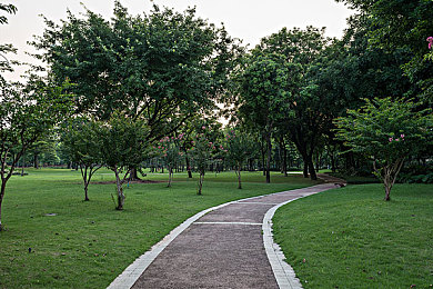 麻豆实验室|智能革新,未来出行,新能源汽车领航者-1