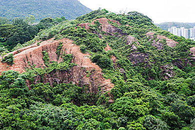 憋尿训练表M标准｜“创新驾驶利器：新型汽车用品引领长途安全驾驶潮流，提升驾驶体验”-1