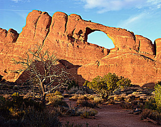 黄三色与三色颜色搭配表图|活力动感,色彩盛宴,跨界融合新风尚汽车-3