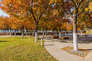 10月电子厂全景沟厕｜“创新视界，环保未来——汽车制造新篇章，全景沟厕领航新征程”-1