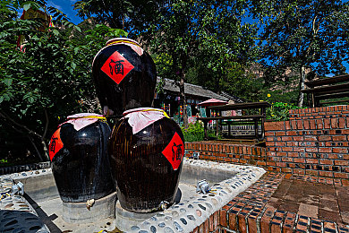 黄色软件在哪里下载-4