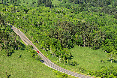 丰满少妇被猛烈进入乡野村妇|驰骋乡野,猛兽之心,驾驭非凡之旅-4