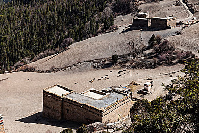 瑞典农场的4个女儿|瑞典四姐妹汽车创新,环保节能技术引领绿色出行潮流-1