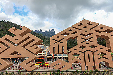 黄色应用大全|汽车管家在手,出行无忧每一程-2