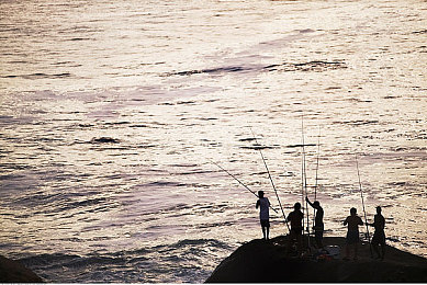 高岭花家的二姐妹|高岭花二姐妹SUV热销:时尚外观与卓越性能,引领汽车市场新潮流-1