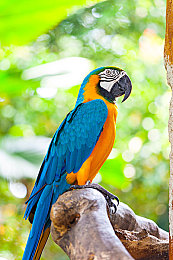 枯瘦娇小小若女黑人HD|“神秘新宠:“枯瘦娇小”车界黑马引领环保出行潮流-1