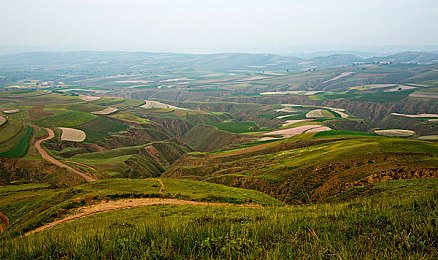 荷兰农场主七个女儿|农场绿动力,创新汽车新篇章-5