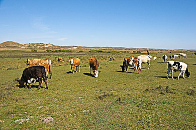 男生和女生一起差差APP｜汽车爱好者情侣新宠：“差差APP”助力甜蜜爱情之旅-1