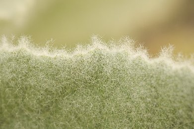 桥本香菜|新能源车型闪耀登场:桥本香菜设计理念引领时尚潮流,环保驾驶新体验-3