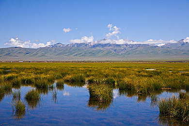 歪歪漫画首页进入观看网页进入观看|新能源汽车创新潮涌,比亚迪、特斯拉、蔚来引领市场新风尚-3