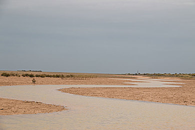 岳今晚让你玩个够肥水一体探岳|探岳SUV:肥水一体配置,极致驾驶乐趣,现代简约设计,油耗低至6L-5