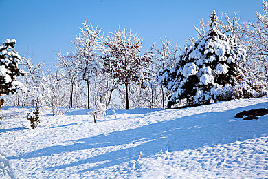 裸女软件|科技赋能,驾享未来,乐途“裸”新体验-3