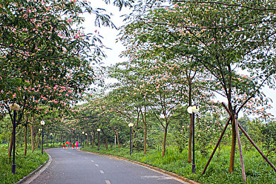 高潮A片www柏芝冠希|电动汽车引领潮流,创新设计安全智能,售价20-30万备受期待-2