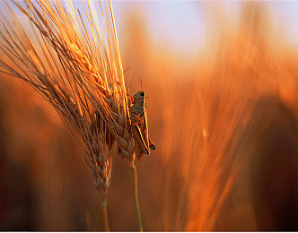 邓紫棋被 到喷水18禁网站｜知名汽车品牌新车上市引关注，宣传视频误入18禁网站引热议，品牌紧急道歉加强管理-1