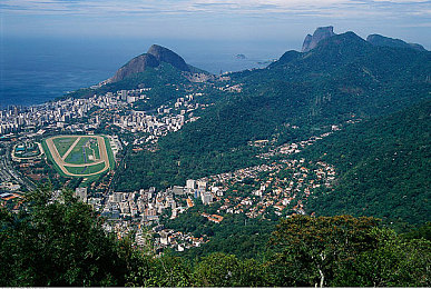 未满十八周岁禁止｜“青少年购车难题破解：法规护航，安全出行之道探寻”-2