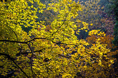 少妇被又粗又硬猛烈进出视频|涡轮动力狂飙,智控科技领航,全新车型惊艳登场-1