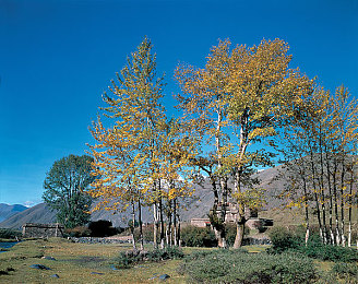 亚洲一二｜亚洲汽车先锋：品质创新驱动，引领未来出行潮流-2