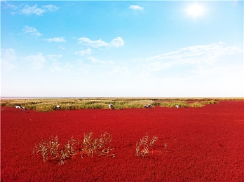 老卫淑蓉厨房激情｜卫淑蓉研发团队激荡新能源汽车盛宴，创新成果引领环保出行新时代-2