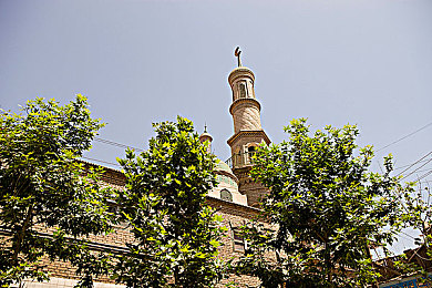 十大黄|色彩潮流引领者:盘点十大热门黄色车型,时尚与环保共舞-2