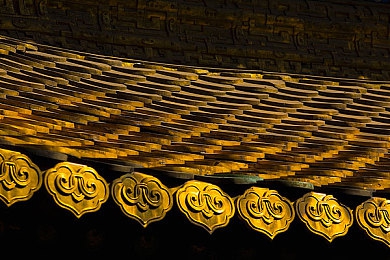 天天射天天｜科技驱动未来，环保领航潮流：新锐车型引领绿色出行新风尚-3