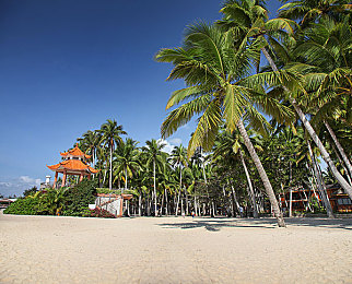 美女露出奶头和尿口|“颠覆想象!新车型设计突破传统,以独特创意引领车坛潮流,未来市场备受期待”-1