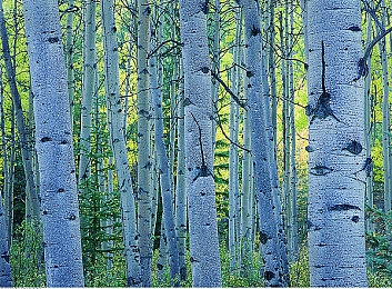 没戴乳罩被同桌c了一节课|“新手司机“C”课警钟,安全意识成车界热议焦点:幽默警示,共建和谐交通环境-3