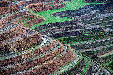 每日吃瓜｜新能源汽车风云际会，政策春风吹满地，安全续航再突破，合资本土化竞速，共享自动驾驶新篇章-3