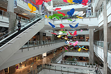 18国产..禁 自|国六新时代,绿色引擎驱动汽车产业焕新之旅-1