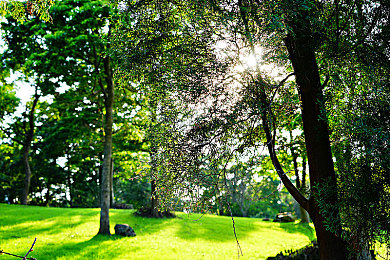 赵丽颖裸体毛片一区二区三区｜新能源汽车新宠亮相：500公里续航，赵丽颖设计灵感，智能科技引领未来出行-2