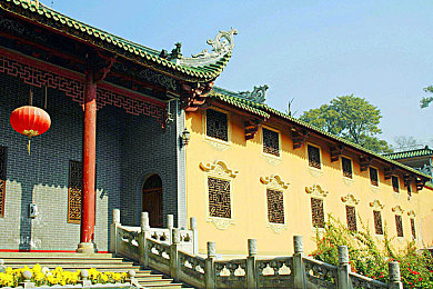 河南农村女BWWBWW｜驾驭梦想之轮，绽放乡村新女性光彩-2