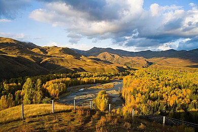 国产又爽 又黄 游戏|国产新锐车型引关注:时尚外观配科技内饰,引领年轻潮流-3