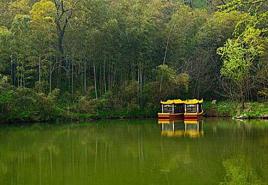 黄色软件大全下载3.0.3每天无|智能导航,个性定制,绿色节能,汽车软件新体验-5