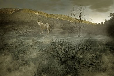 婷婷五月六月丁香｜“新能源汽车新篇章：婷婷五月六月两款车型亮相，引领绿色出行潮流”-2