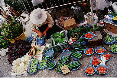 张柏芝陈冠希囗交古装｜张柏芝陈冠希古装秀惊艳亮相，汽车新风尚引领时尚潮流-1
