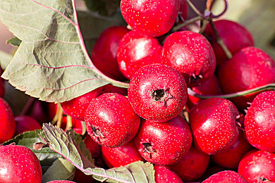 天美麻花星空MV是什么剧,“科技赋能未来出行，天美音乐剧描绘汽车行业新蓝图”-2
