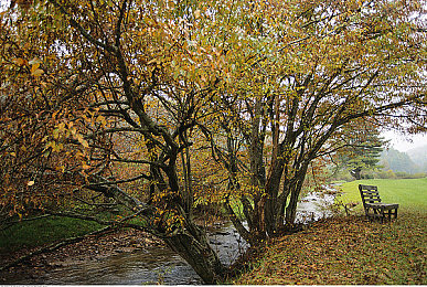 男生插女生APP|科技驾临,智能悦行,生活无忧-2