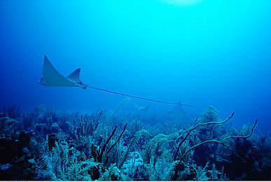 KTV被客人扒开双腿猛进|“惊曝:驾驶中司机车内不雅行为引发社会热议,道德沦丧与监管缺失引深思”-5