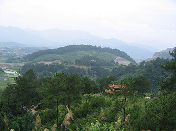 桥本有菜的启蒙教育内容|“奇趣汽车探秘之旅:培育未来车迷的绿色驾驶智慧乐园”-1